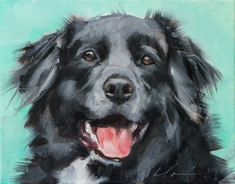 Фотография № 168223