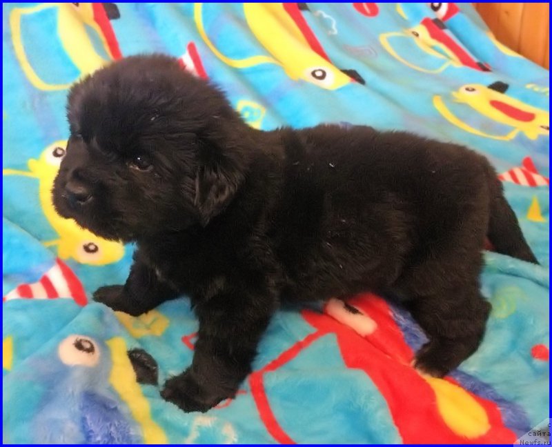 Фотография № 168246