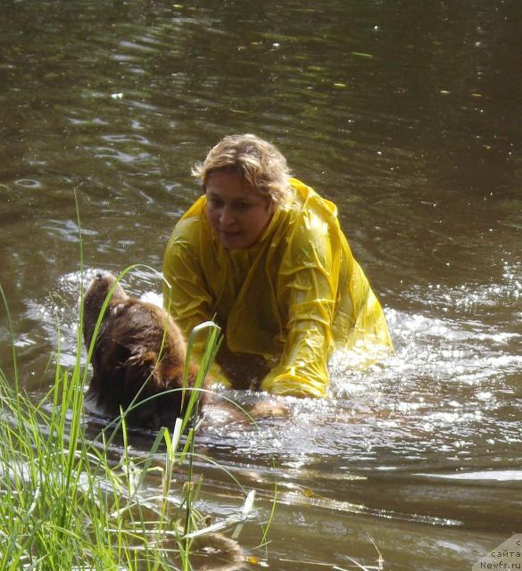 Фото: Рахматова Лиля, ньюфаундленд YUdjin s Berega Dona (Юджин с Берега Дона)