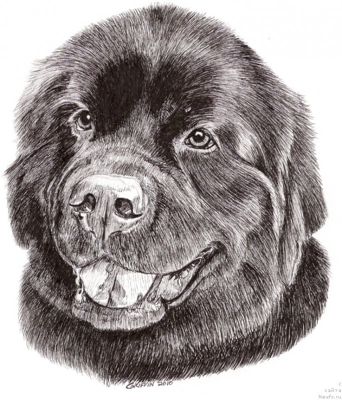 Фотография № 168271