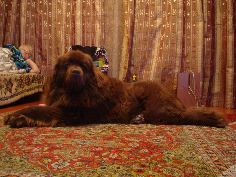 Фото: [d11030]и бабушка.