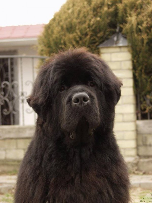 Фотография № 168278