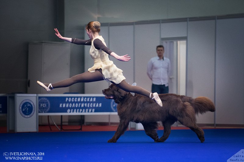 Фотография № 168280