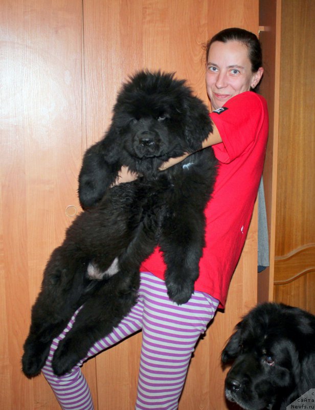 Фотография № 168299