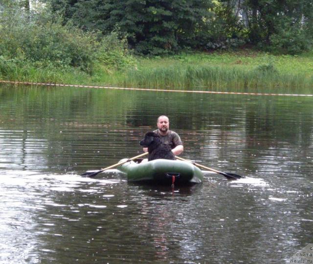 Фото: Комов Юрий, ньюфаундленд Smigar Talara (Смигар Талара)