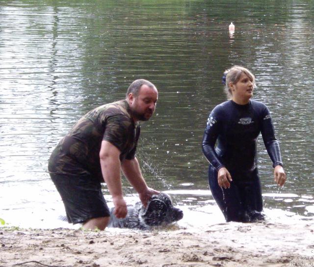 Фотография № 16833