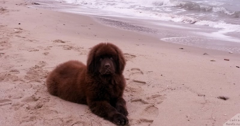 Фотография № 168332