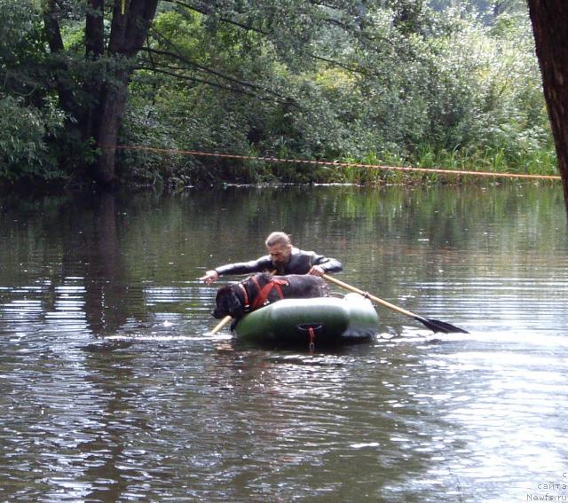 Фотография № 16834