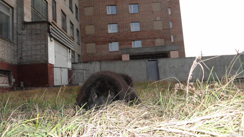 Фотография № 168341