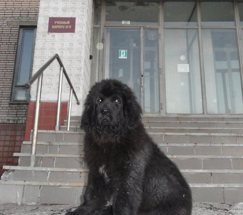 Фотография № 168344