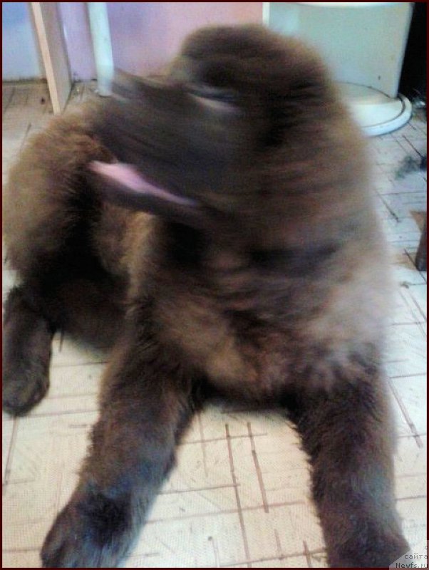 Фотография № 168349