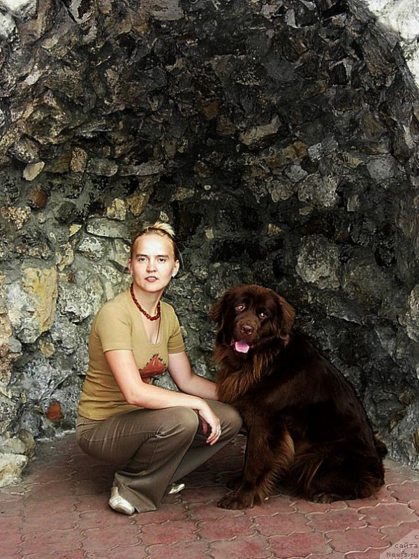 Фото: Diana Larina (Диана Ларина), ньюфаундленд Lesnaya Skazka Izabella (Лесная Сказка Изабелла)