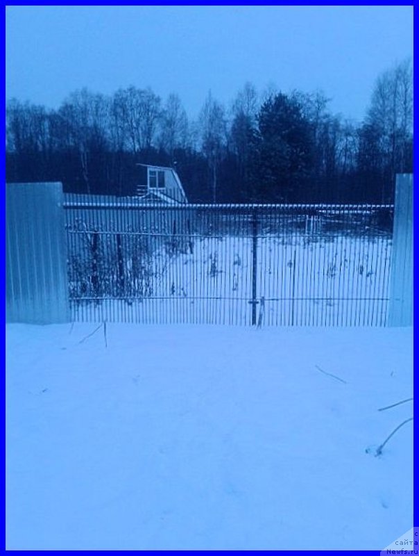 Фотография № 168356