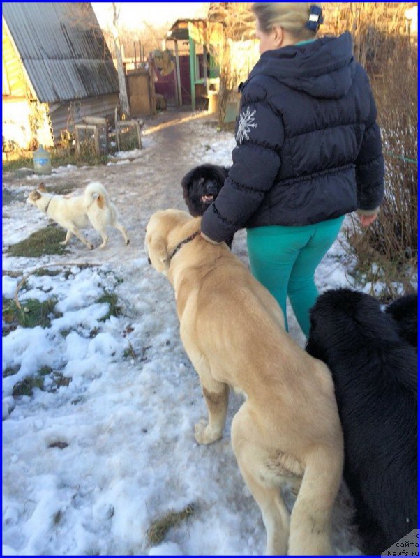 Фото: Lena Zyirina (Лена Зырина), ФРАНКО