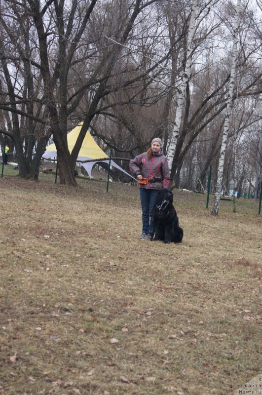 Фотография № 168378