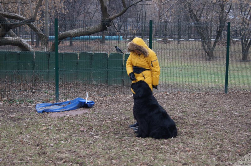 Фотография № 168381