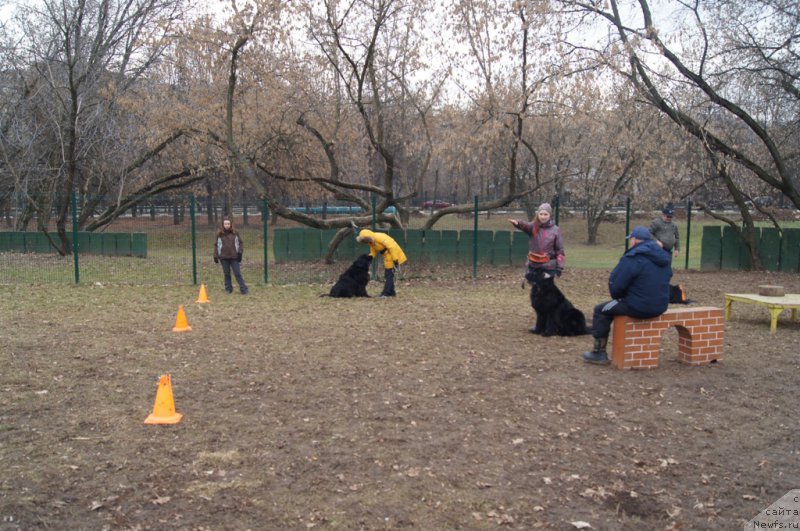 Фотография № 168391