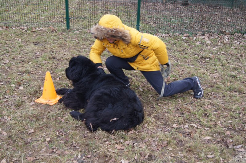 Фотография № 168393