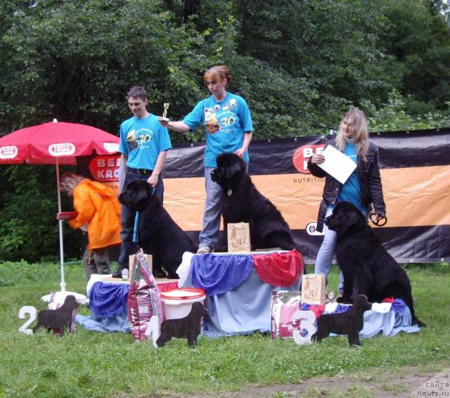 Фотография № 16840