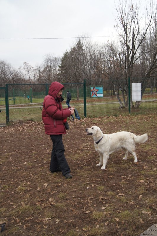 Фотография № 168401