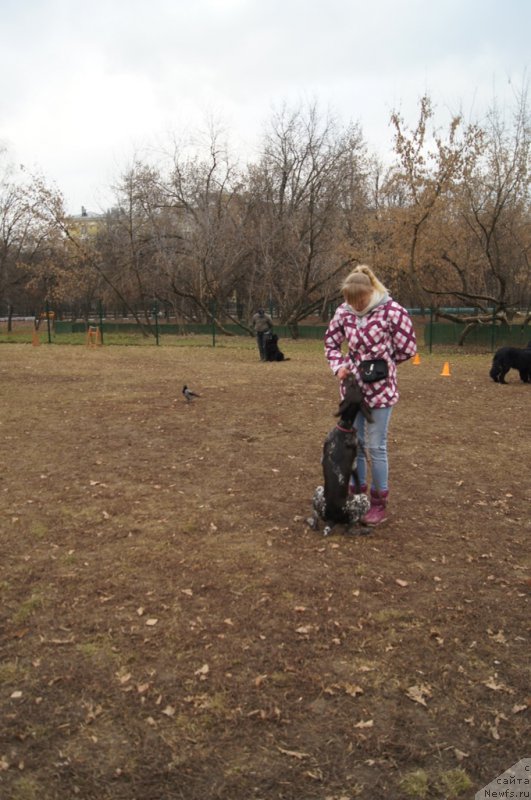 Фотография № 168403