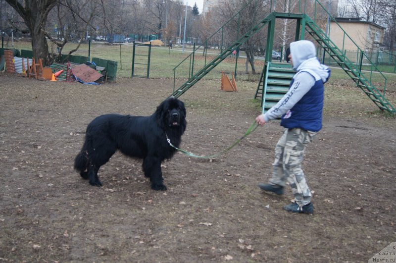 Фотография № 168404