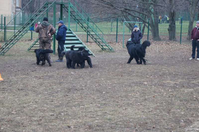 Фотография № 168405