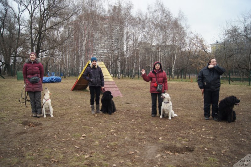 Фото: Alla Lipovickaya (Алла Липовицкая), 