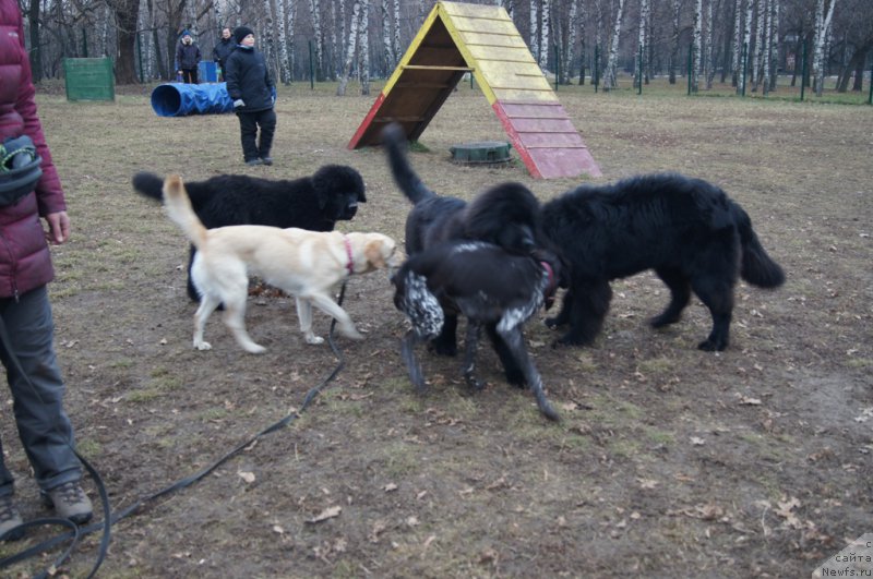 Фотография № 168408