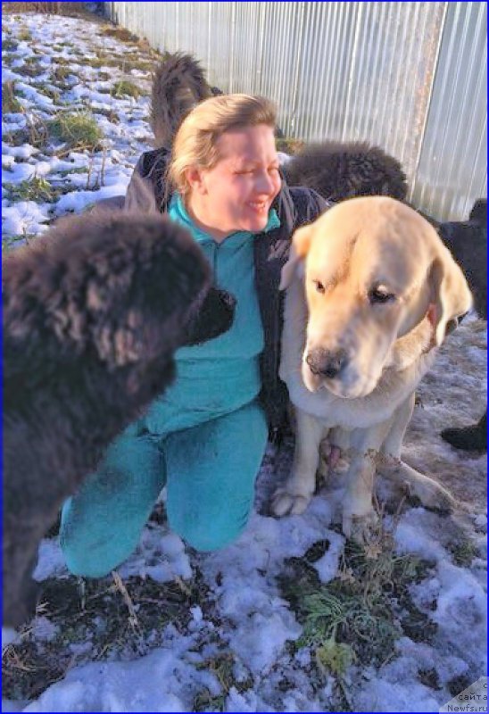 Фотография № 168418