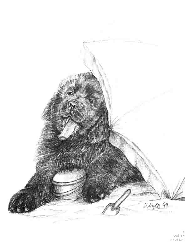 Фотография № 168427