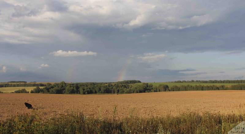 Фотография № 168509