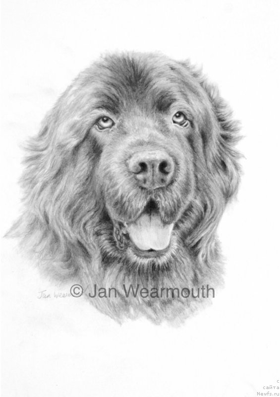 Фотография № 168515