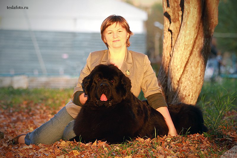 Фото: Tat'yana Abutova (Татьяна Абутова), ньюфаундленд Aquatoriya Kelvin Undisputed Wins (Акватория Келвин Ундиспьютид Винс)