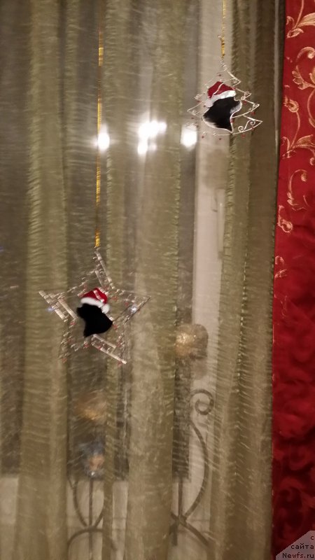 Фотография № 168521