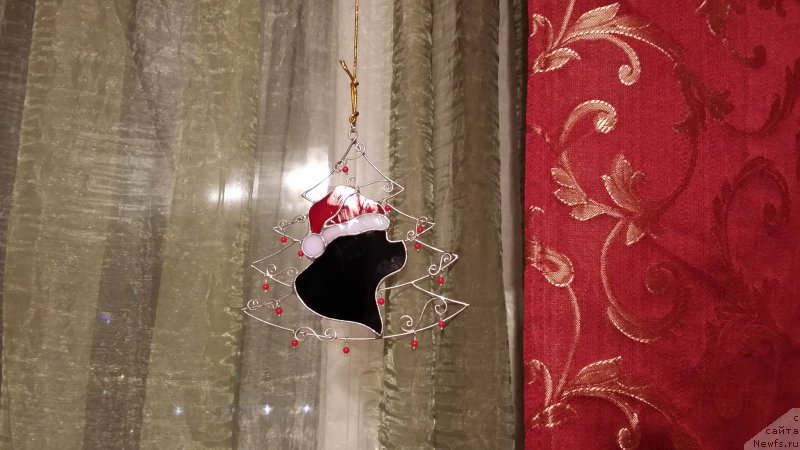 Фотография № 168522