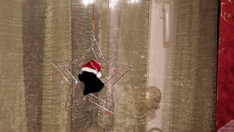 Фотография № 168523