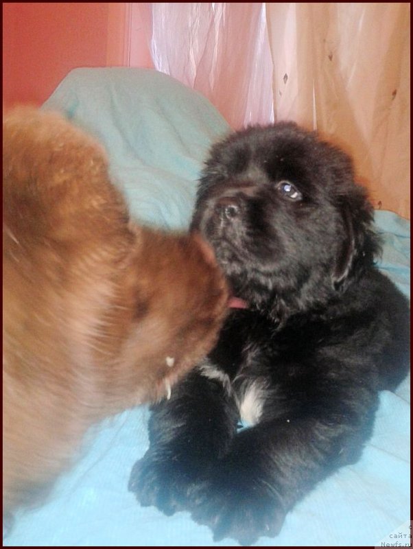 Фотография № 168566