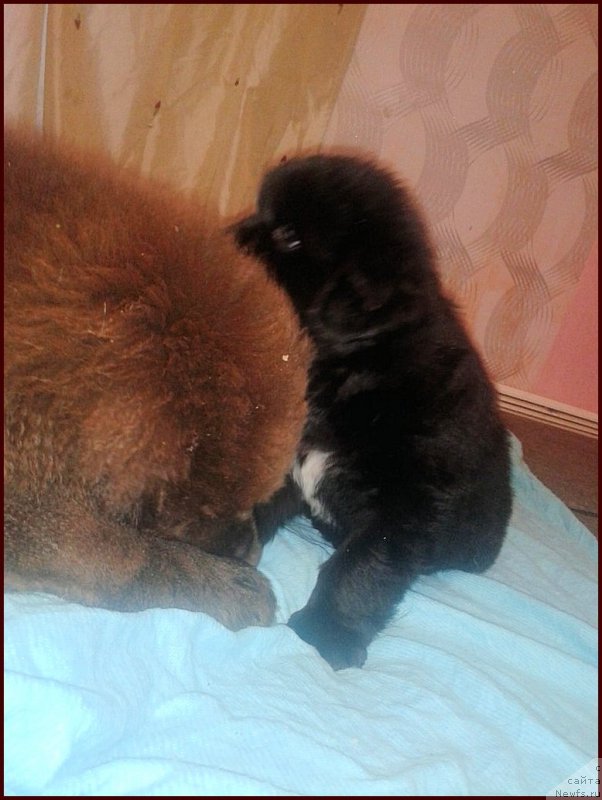 Фотография № 168567