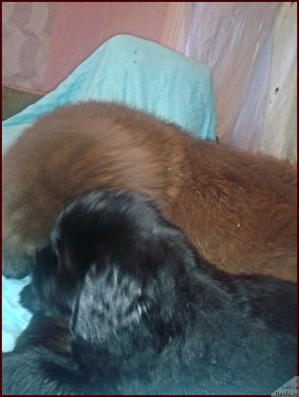 Фотография № 168570