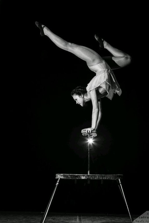 Фото: ньюфаундленд Russkaya Krasavica Nyura (Русская Красавица Нюра)