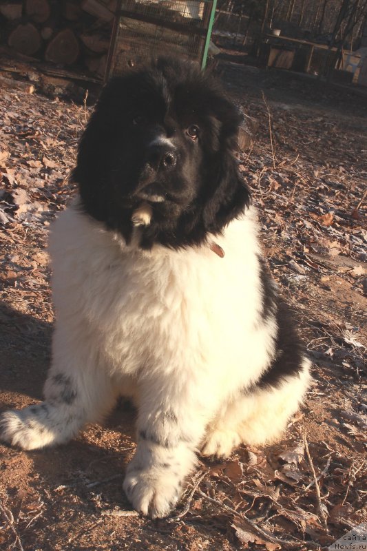 Фотография № 168583