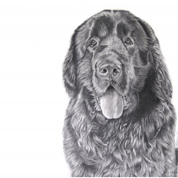 Фотография № 168590