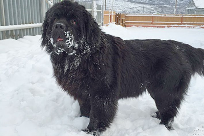 Фотография № 168599