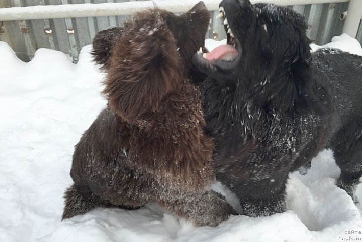 Фотография № 168600