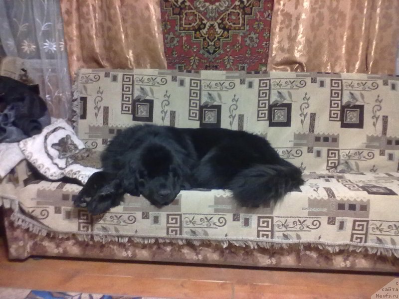 Фотография № 168604