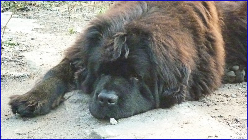 Фотография № 168715