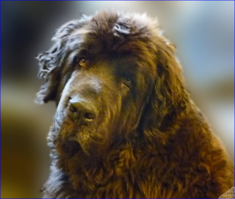 Фотография № 168717