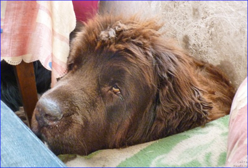 Фотография № 168719