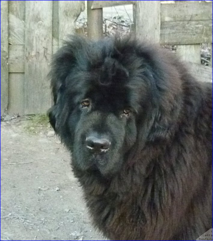 Фотография № 168721